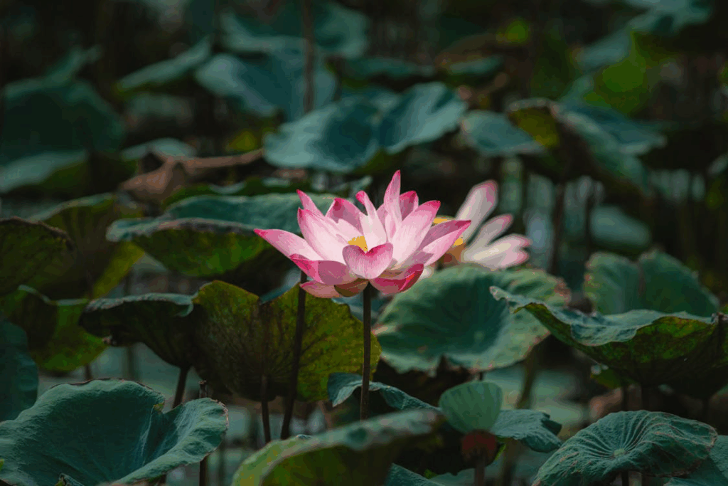 The Rise of AI in Visual Ideation The Rise of AI in Visual Ideation